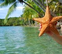 Starfish Beach